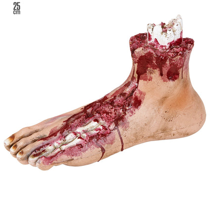 Widmann SRL Afgehakte voet van een mens