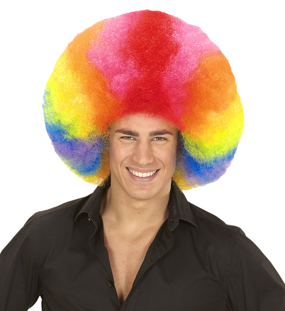 Widmann SRL Afro pruik regenboogkleur