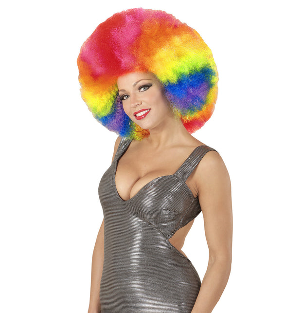 Widmann SRL Afro pruik regenboogkleur