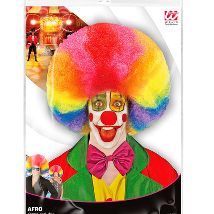 Widmann SRL Afro pruik regenboogkleur