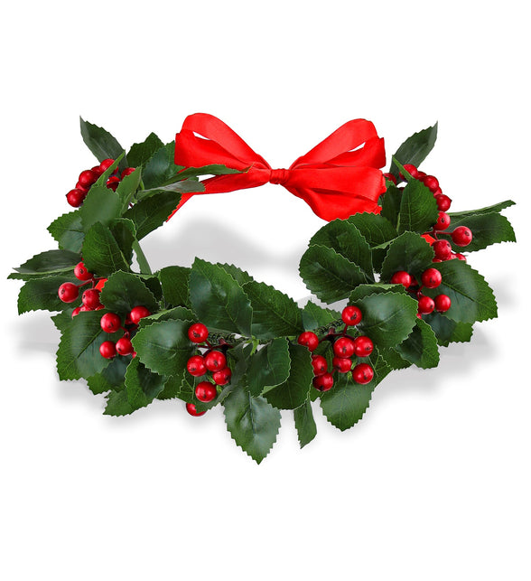 Widmann SRL Afstudeer lauwerkrans