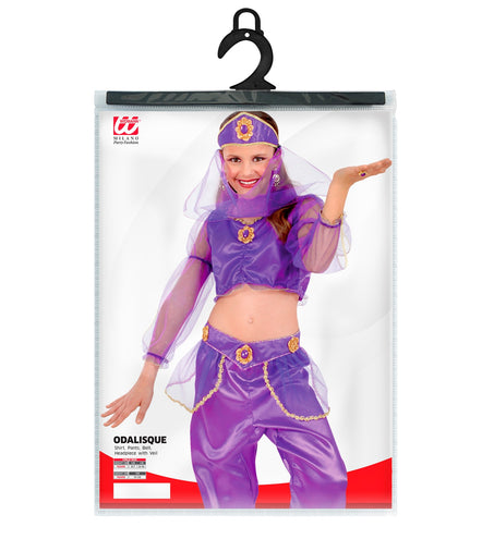 Widmann SRL Arabische haremdanseres kostuum Mervet kind