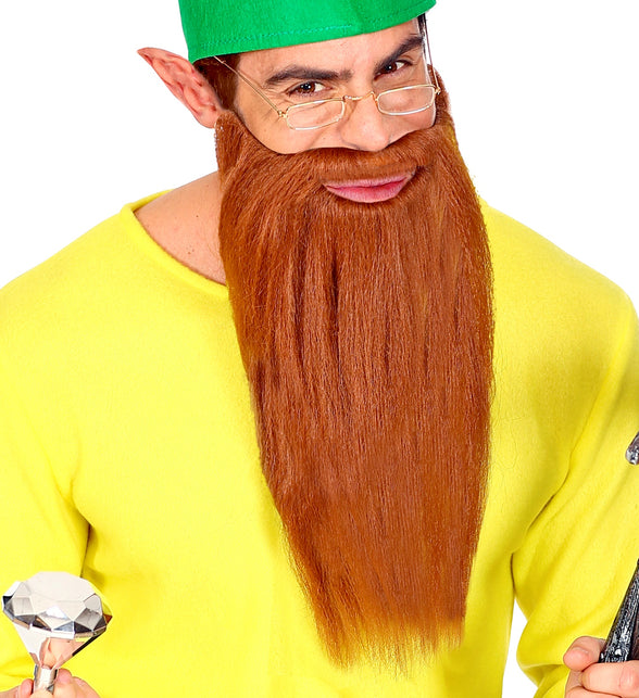 Widmann SRL Biker baard met snor bruin