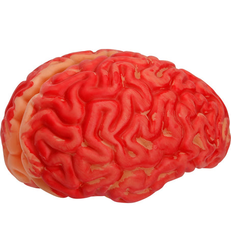 Widmann SRL Bloederige hersenen deco