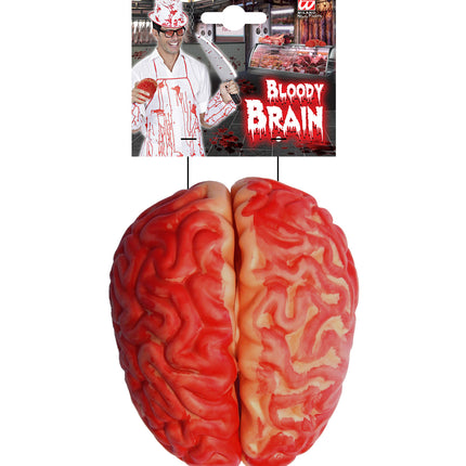 Widmann SRL Bloederige hersenen deco