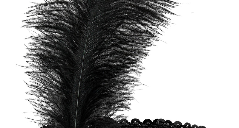 Widmann SRL Charleston hoofdband met veer zwart pailletten