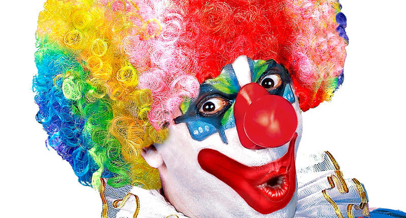 Widmann SRL Clownspruik regenboog