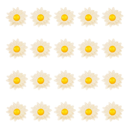 Widmann SRL Decoratie Margrietjes