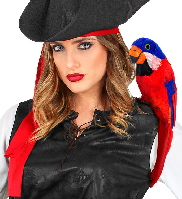 Widmann SRL Decoratieve papegaai piraat