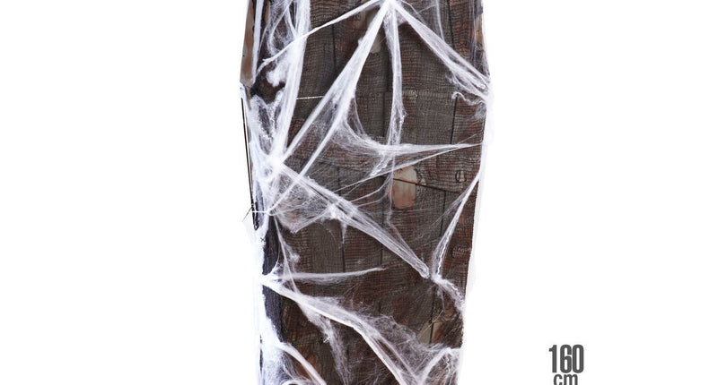 Widmann SRL Doodskist halloween grafkist