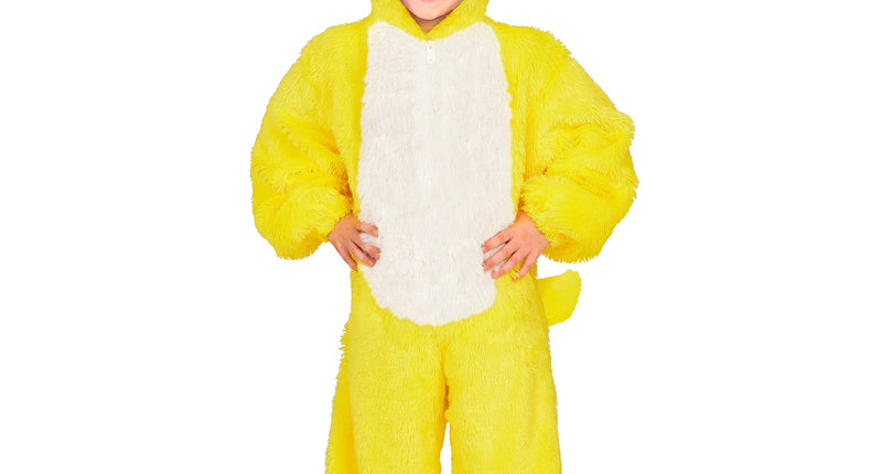 Widmann SRL Eendenpakjes voor kinderen