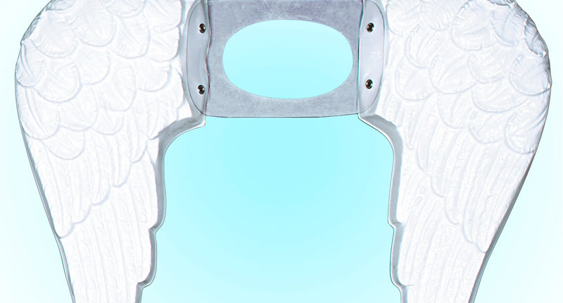 Widmann SRL Engel vleugels kind