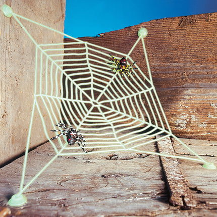 Widmann SRL Groot spinnenweb met 2 spinnen glow in the dark