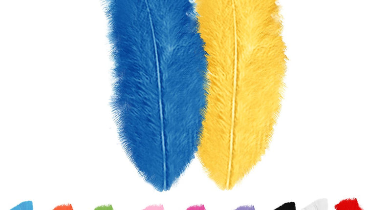 Widmann SRL Halloween decoratie zakje met 50 veertjes zwart