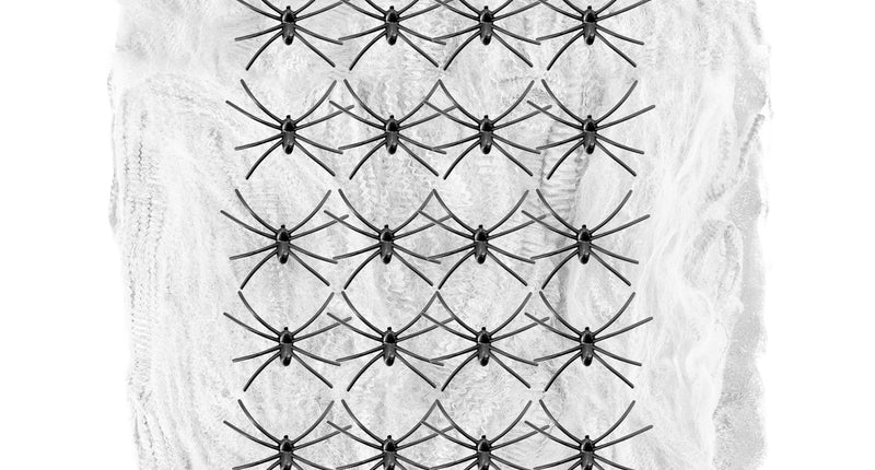 Widmann SRL Halloween spinnenweb met 20 nep spinnen