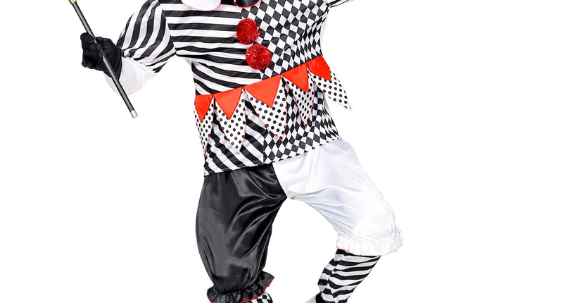 Widmann SRL Harlekijn kostuum heren luxe