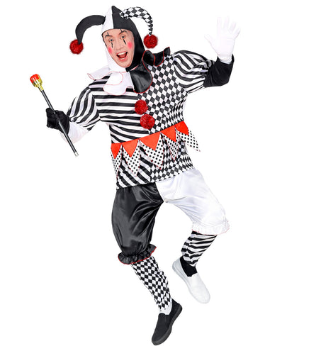 Widmann SRL Harlekijn kostuum heren luxe