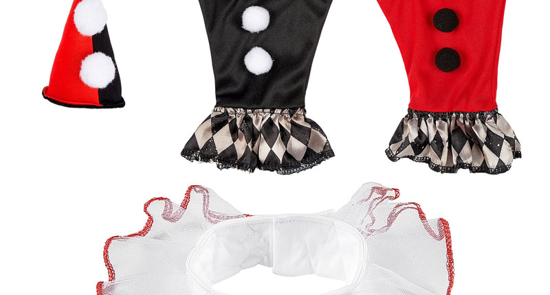 Widmann SRL Harlekijn verkleedset