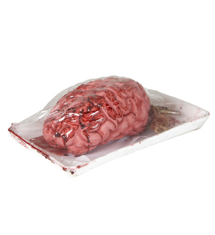 Widmann SRL Hersenen met bloed ingepakt