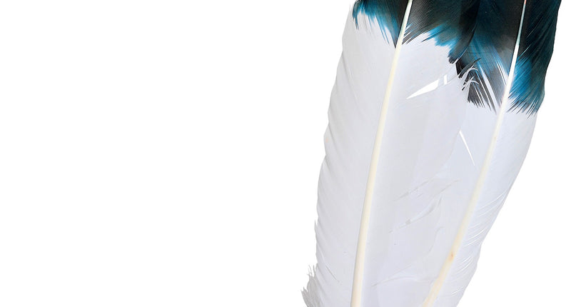 Widmann SRL Hoofdband Indiaan  met 2 veren