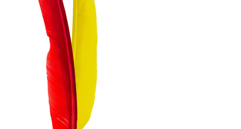 Widmann SRL Hoofdband indiaan met 2 veren