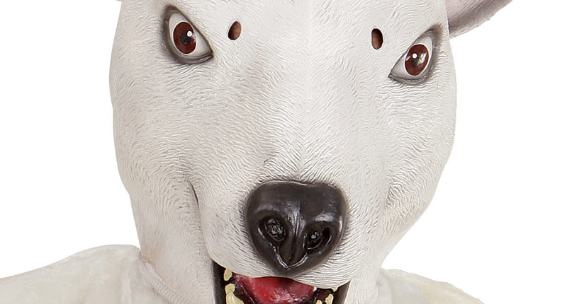 Widmann SRL Ijsbeer masker voor party's