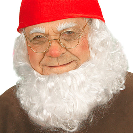 Widmann SRL Kerstman bril goud budget