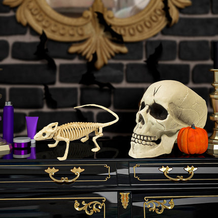 Widmann SRL Leguaan skelet