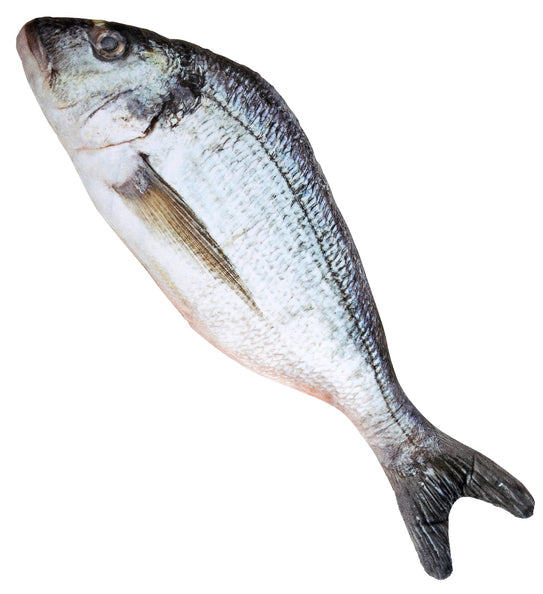 Widmann SRL Levensechte vis 55cm