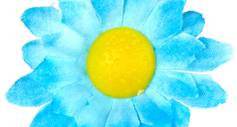 Widmann SRL Madelief decoratieve bloemen lichtblauw