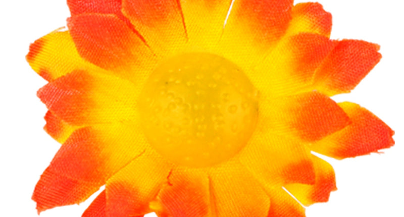 Widmann SRL Madelief decoratieve bloemen oranje geel