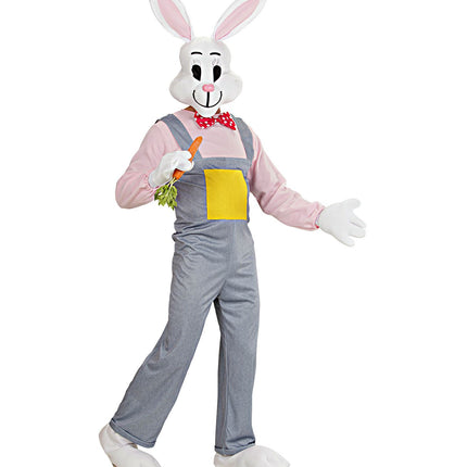 Widmann SRL Mascotte konijn kostuum