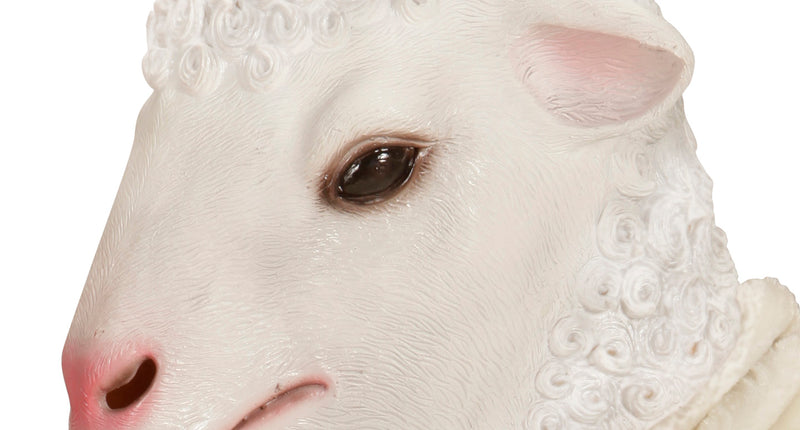 Widmann SRL Masker Lammetje voor party's