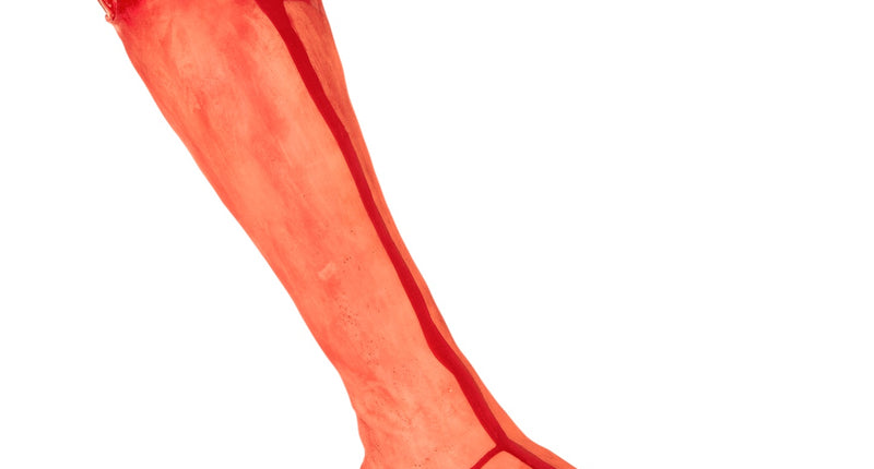 Widmann SRL Nep been afgehakt met bloed decoratie