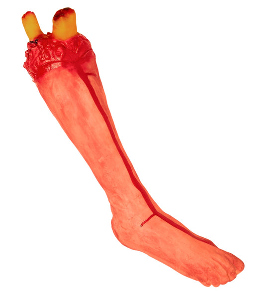 Widmann SRL Nep been afgehakt met bloed decoratie