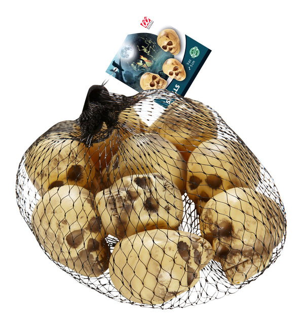 Widmann SRL Nep schedels halloween 8 stuks