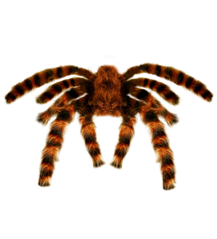 Widmann SRL Nep Tarantula spin met haren 65cm
