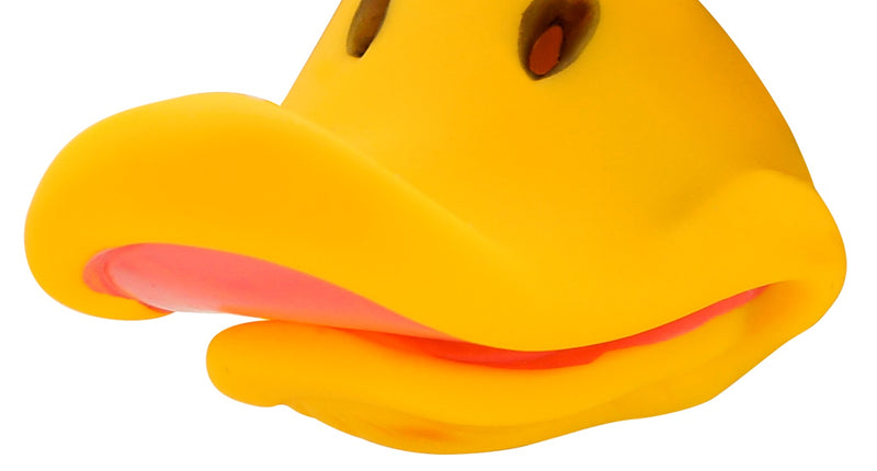 Widmann SRL Neus eend