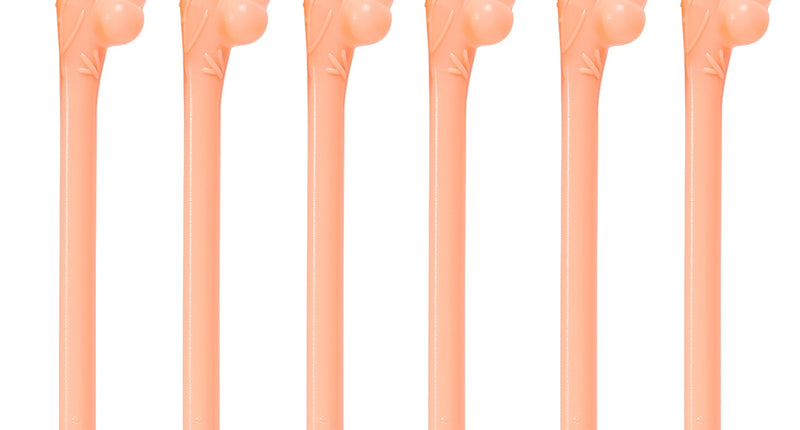 Widmann SRL Piemel rietjes 6 stuks