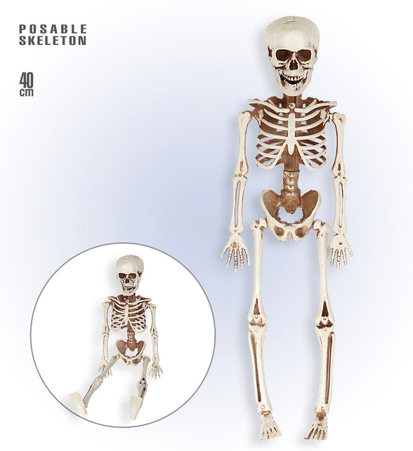 Widmann SRL POSEERBAAR SKELET 40CM