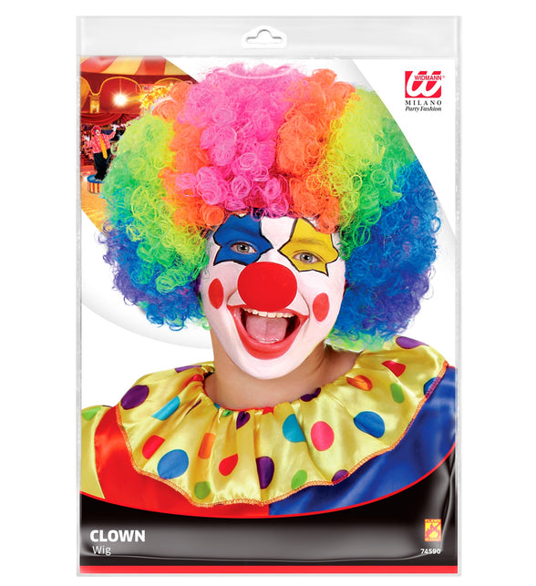 Widmann SRL Pruik Clown Multikleuren