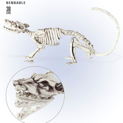 Widmann SRL Ratten Skelet deco