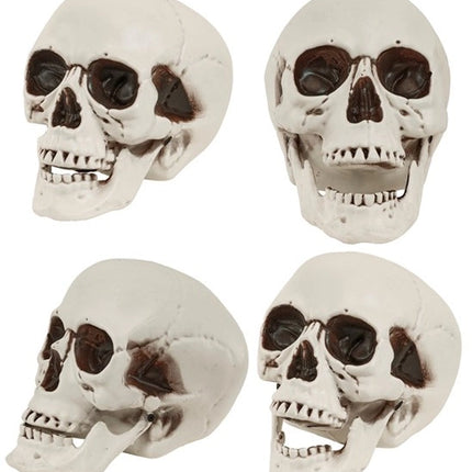 Widmann SRL Schedel met beweegbare kaak 28cm Evi