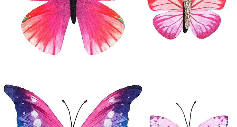 Widmann SRL Set van 4 vlinder haarclips