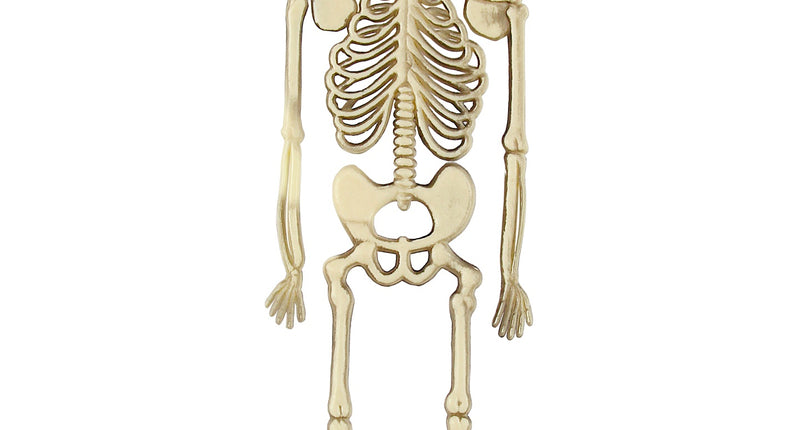 Widmann SRL Skelet Benny decoratief