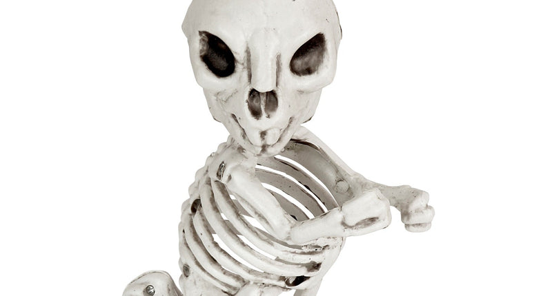 Widmann SRL Skelet konijn 16cm