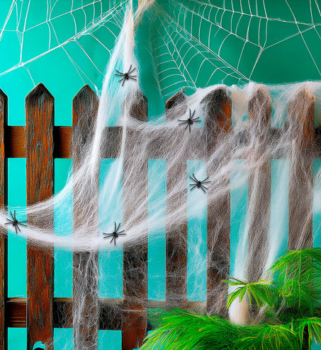 Widmann SRL Spinnenweb 100 gram met 5 spinnen