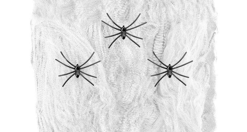 Widmann SRL Spinnenweb 50 gram met 3 spinnen