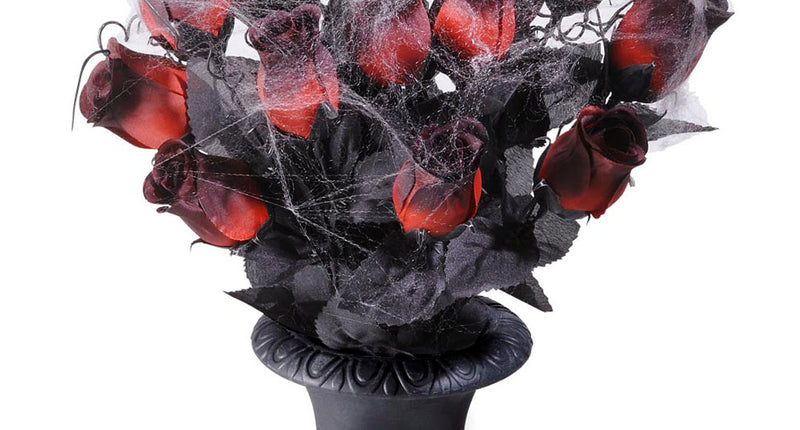 Widmann SRL Vaas met 15 rode rozen en spinnenweb