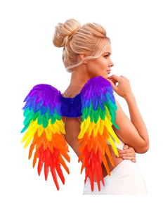 Widmann SRL Veren vleugels regenboog opvouwbaar 50 x 50cm Roos